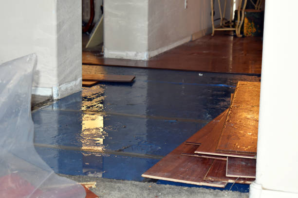Professional Emergency Water Damage Restoration technician working in Litchfield, OH